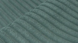Cilium