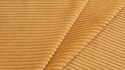 Cilium Umber